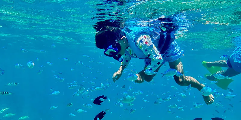 マリンパックＣイメージ